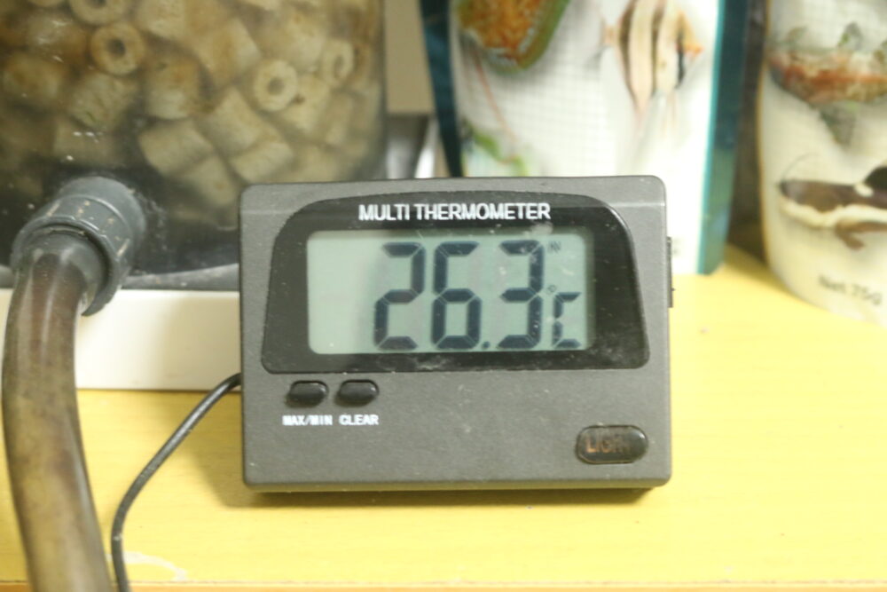 最高最低水温が記録できるデジタル温度計兼水温計