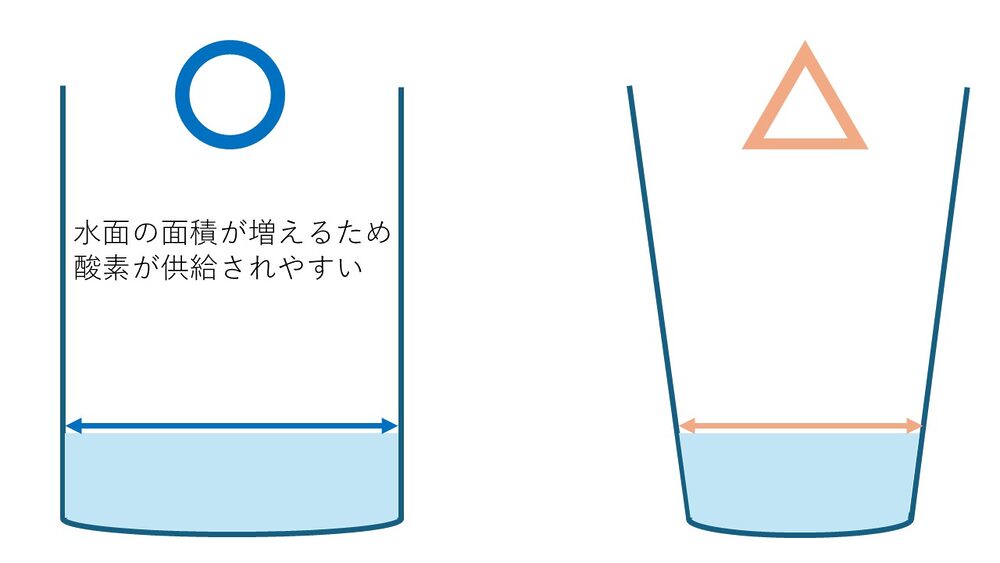 おすすめのグラス形状