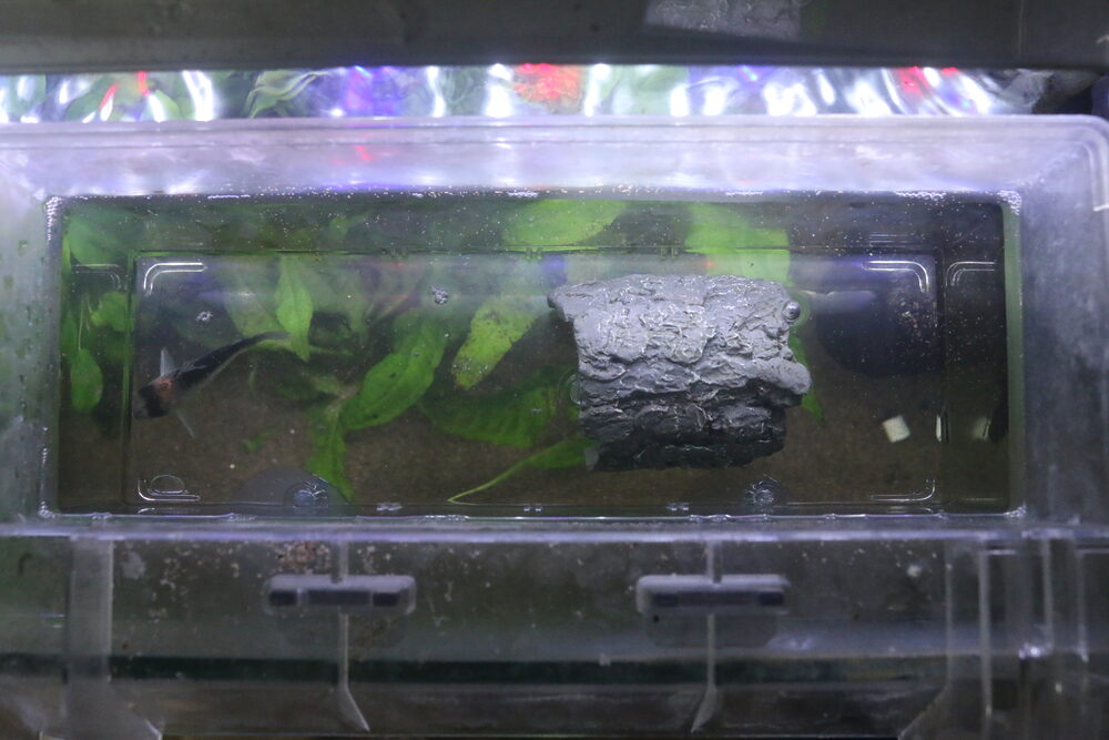 隔離ボックスのレイアウト