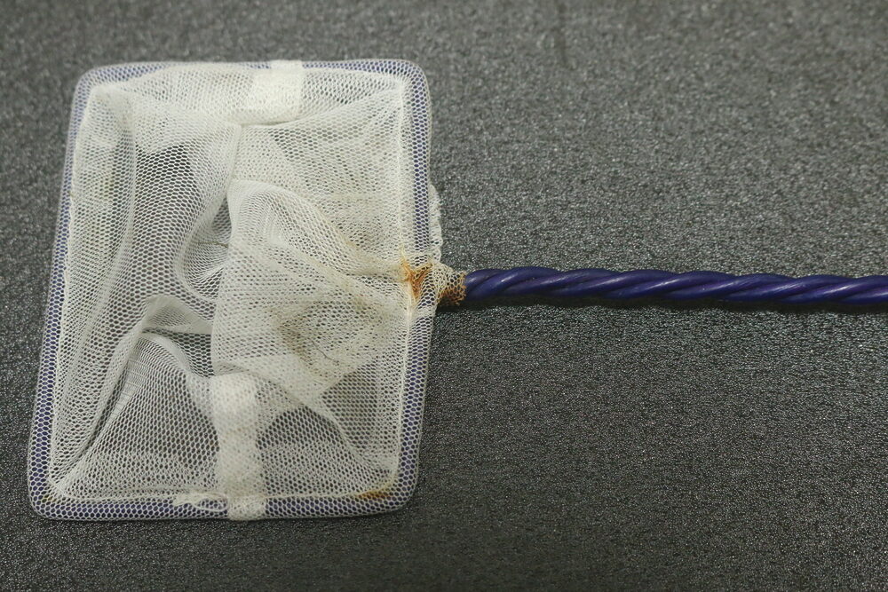 すくいネットの錆