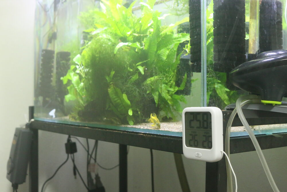 水温計設置位置